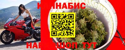 трава Будённовск