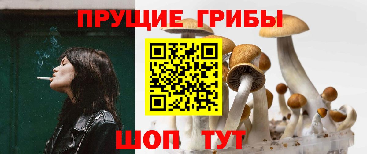 Галлюциногенные грибы Psilocybine cubensis  Вход с VPN  Салават 