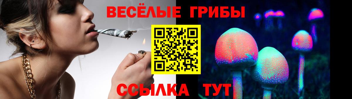 Галлюциногенные грибы MAGIC MUSHROOMS Салават